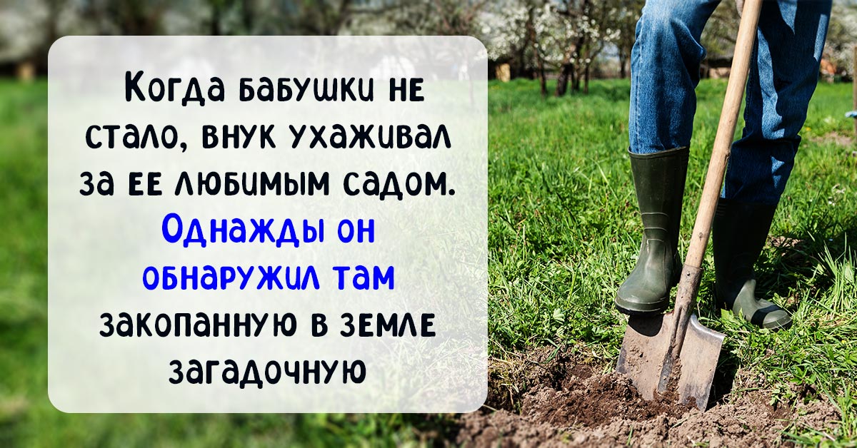 Наследства. Богач оставил наследство молодой сиделки. Богач оставил наследство внуку который утонул. Богач оставил наследство внуку который утонул. Богач оставил наследство молодой сиделки.