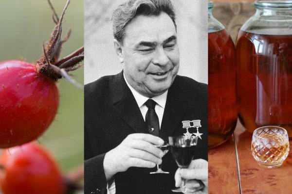 Как приготовить настойку шиповника