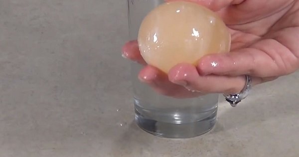 Научные опыты для детей. Внимание: это интересно даже взрослым!