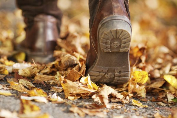 Девушка подобрала золотую брошь на асфальте, вскоре ее жизнь изменилась навсегда