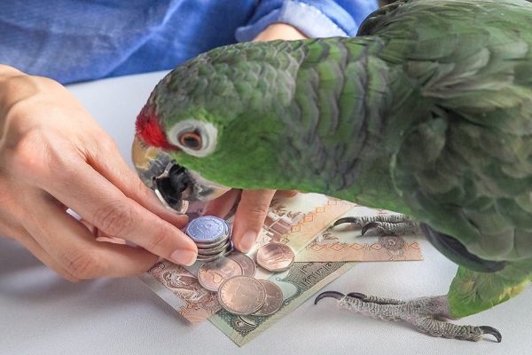 Перестала давать в долг деньги близким и родственникам, после моей истории вы тоже перестанете