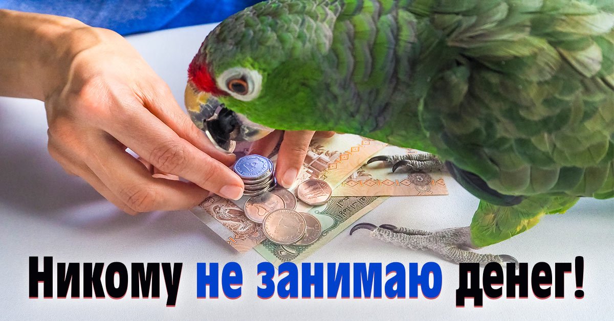 Взятые в займ деньги