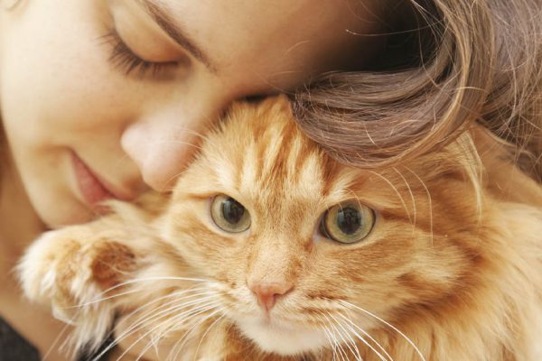 Почему женщина может любить кошку сильнее будущего ребенка