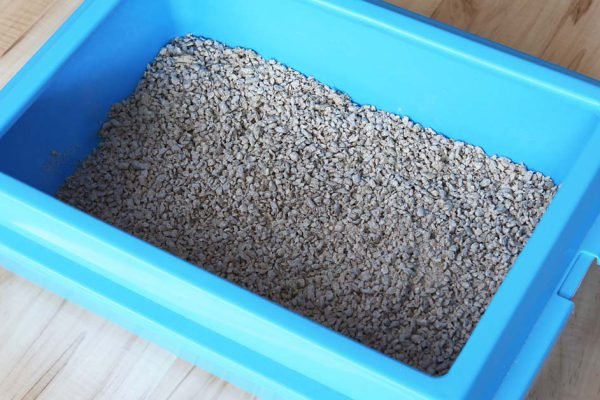 Подмела на балконе, где стоит кошачий лоток, свекровь закатила глаза и демонстративно взялась убирать после меня, и так со всем