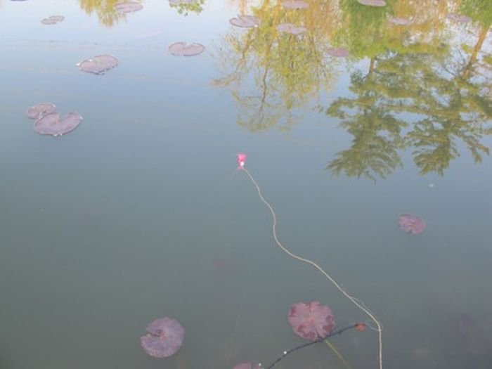 поплавок из тампона