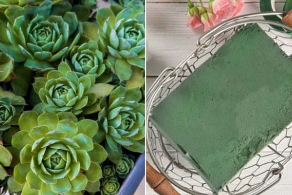 Как садовница украшает дом в новогодние праздники