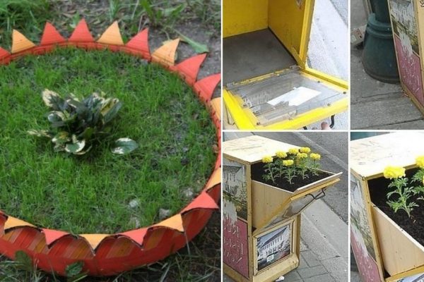 Творческая атмосфера на старом дачном участке