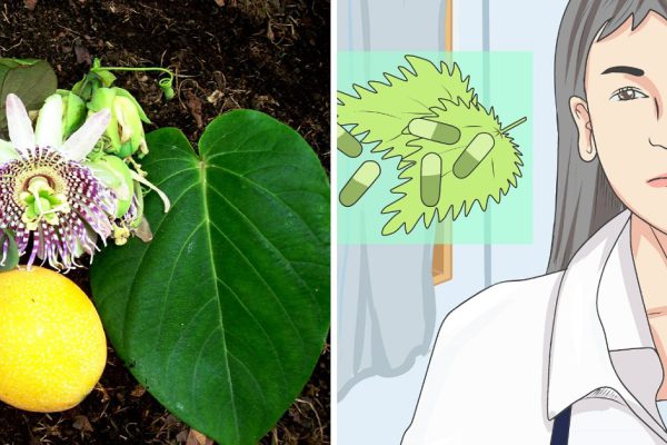 Вот что будет, если включить в рацион один из этих экзотических продуктов!