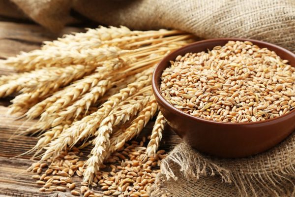Ears of wheat and bowl of wheat grains on brown wooden background
