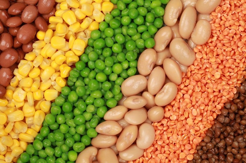 несовместимые продукты питания