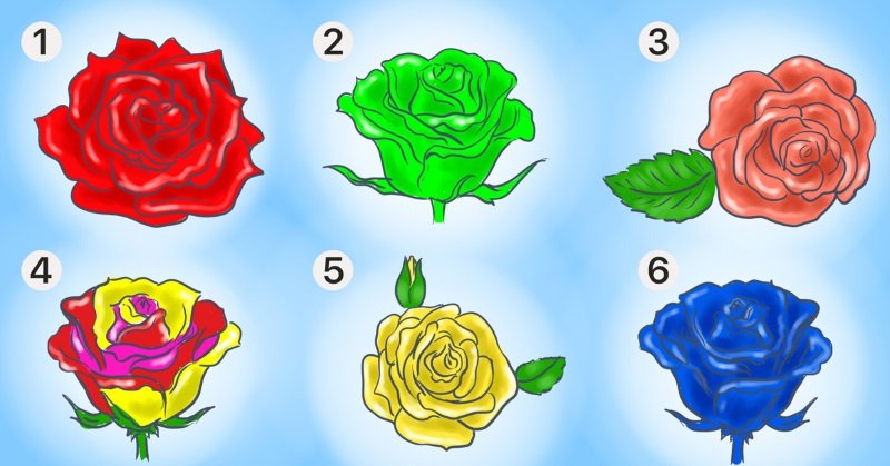 Как определить характер человека с помощью розы Вдохновение,Лайфхаки,Личность,Психология,Розы,Характер,Цветы