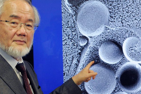 Японский ученый Ёшинори Осуми: «Я получил Нобелевскую премию, доказав мудрость русского древнего обычая…»