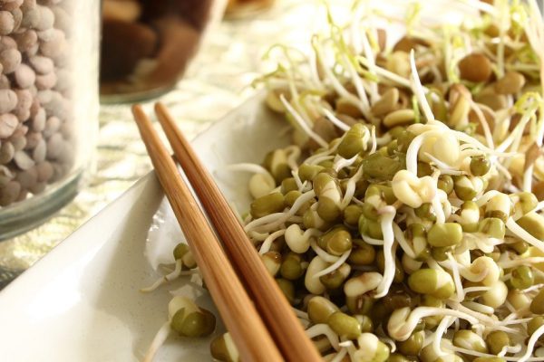 Lentil and mung beans sprouts salad on plate with chopsticks