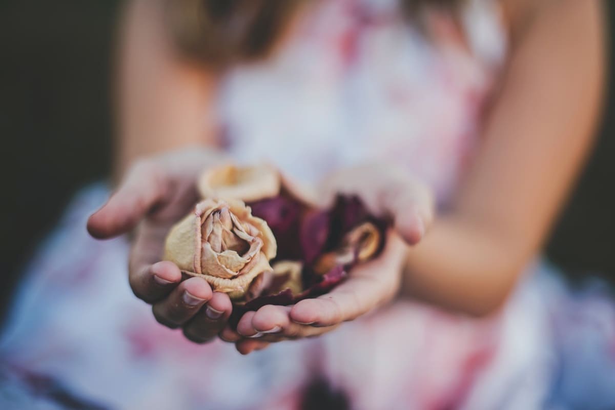 гороскоп по китайскому календарю