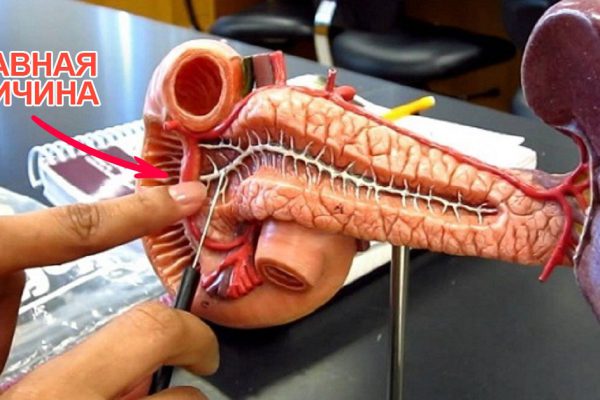 Гастроэнтерологи пришли к выводу, который может спасти от смертельного недуга миллионы людей.