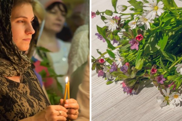 Какие травы нельзя нести в дом