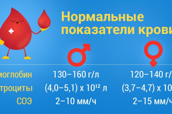Всё, что тебе необходимо знать о показателях крови. Сохрани обязательно!