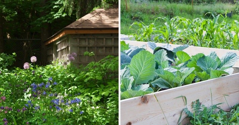 облагораживание дачи