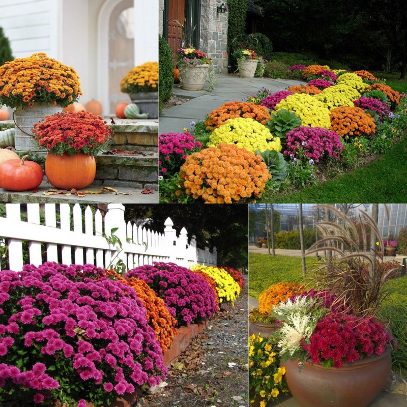 дизайн и обустройство дачного участка