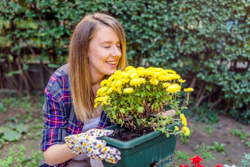 недорогое обустройство дачного участка