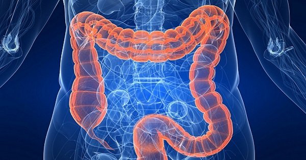 10 домашних средств для очищения кишечника. Устрой генеральную уборку организма!