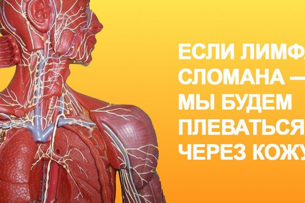 Мы совершенно ничего не знаем о нашей лимфатической системе! И наказаны за это болезнями.