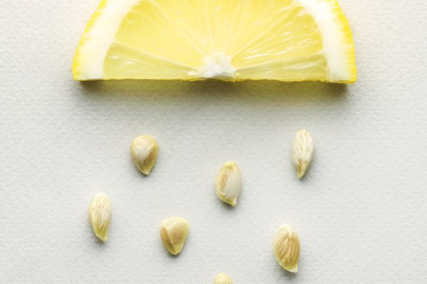 Чем полезны лимонные косточки