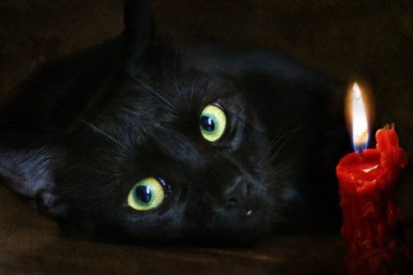 Долго дома всё не ладилось, пока бабушка не посоветовала… Теперь никаких болезней и ссор!