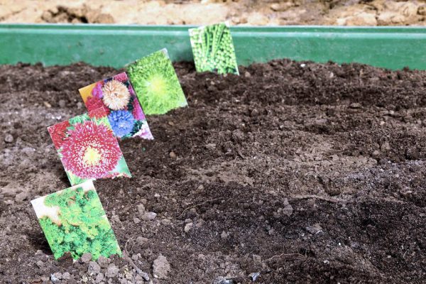В апреле на даче дел по горло, с семи утра уже сную по огороду, в помощи родных не нуждаюсь