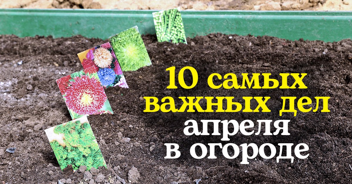 Дела дача. 8 Дел на даче в апреле. 10 Самых важных дел в огороде в декабре. Дачные дела в апреле 2022. Топ дел на даче в конце апреля.