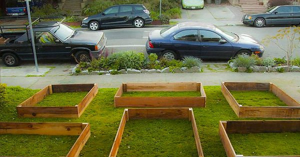 Как выращивать овощи посреди шумного города