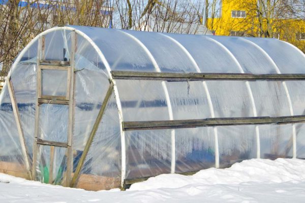 Бабушкины хлопоты на огороде зимой