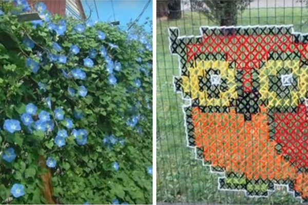 Как сделать ограждение из сетки