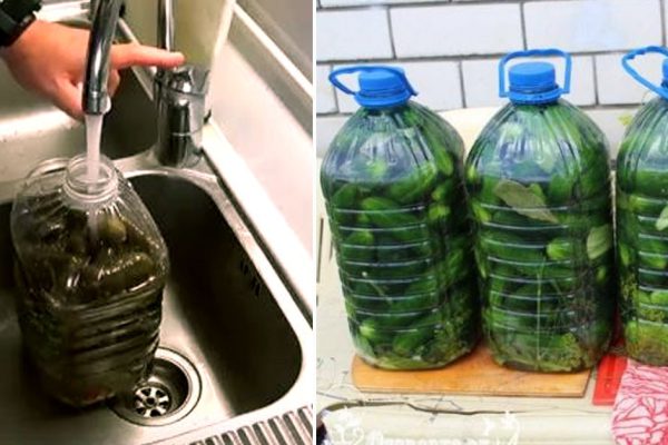 Рецепт хрустящих малосольных огурцов без кипячения