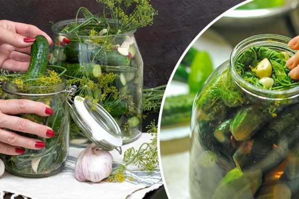 Между нами, фанатами солений, делюсь «Злодейскими» чесночными огурцами