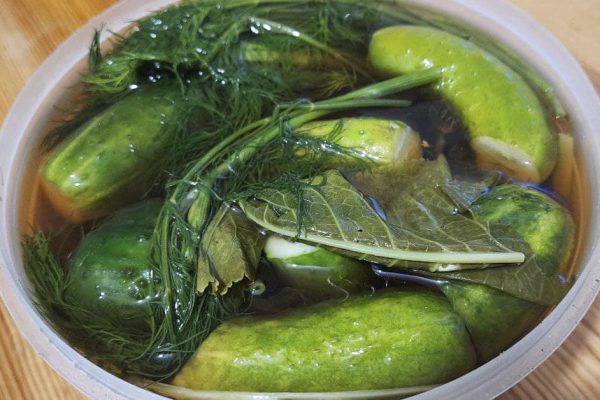 Огурцы на пенном, что получаются вкуснее русских бочковых огурчиков