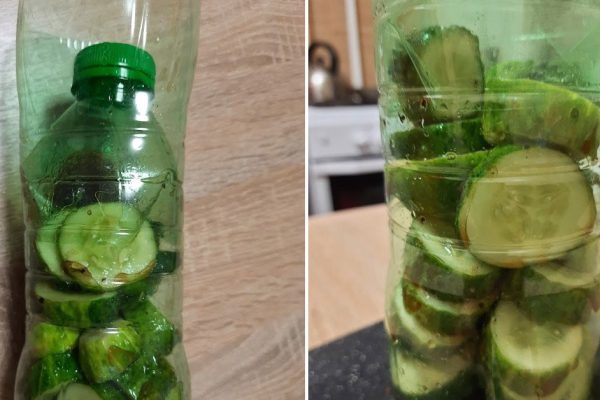 Завтра едем на шашлыки, готовлю огурцы в бутылке и прямо в бутылке повезу мировую закуску
