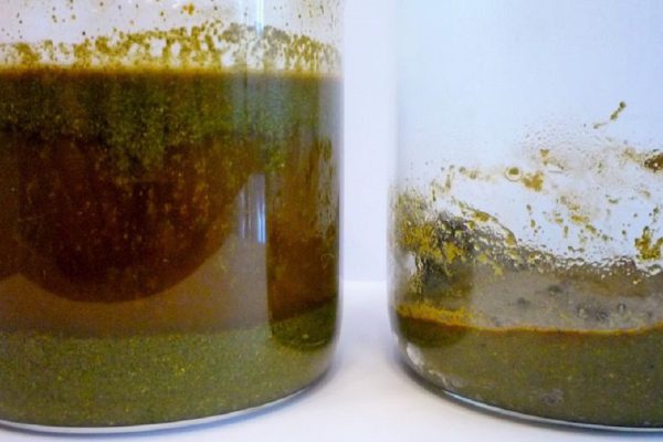 Роскошные волосы как в рекламе — это легко! Я добилась такого результата…