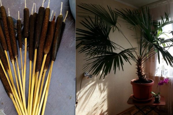 11 вещей, которые крадут твою энергию! Они провоцируют ссоры, интриги и склоки…