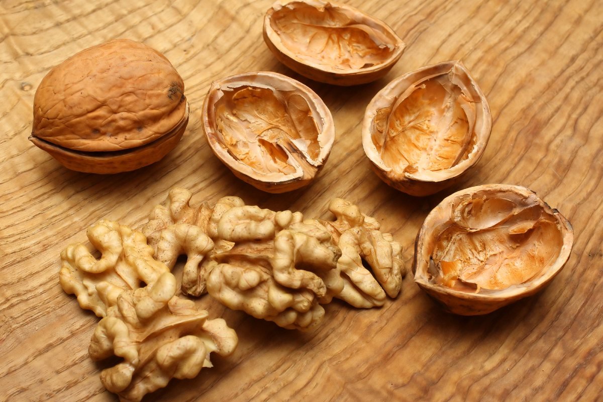 грецкие орехи плесень фото