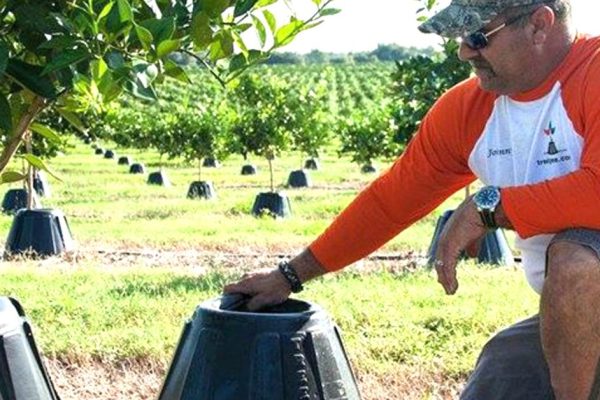 Фермер с 15-летним стажем делится секретом необычайного успеха. Узнав это, ты тоже захочешь поступать именно так!