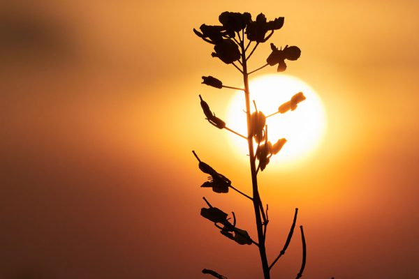 Каждый год в сентябре происходит осеннее равноденствие, но в этот раз оно совершенно особенное
