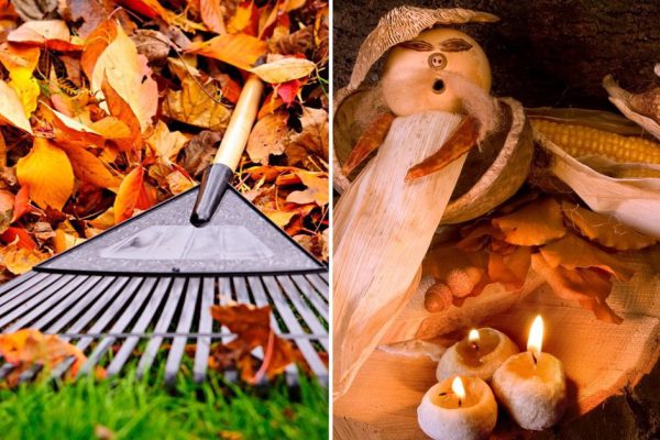 Идеи для осеннего творчества