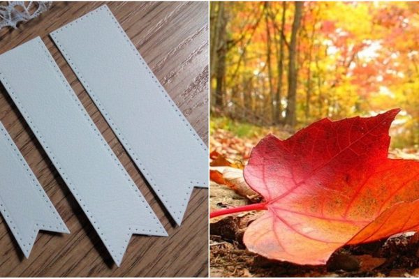 Тетя взяла в руки лист картона и согнула его пополам, а затем положила сверху 3 кленовых листа. Итог восхитил всех домашних!