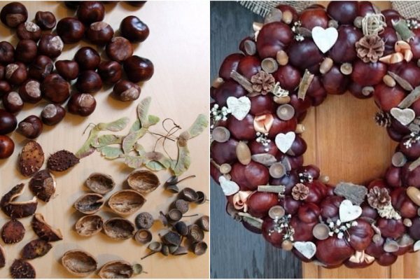 Что можно сделать из каштанов