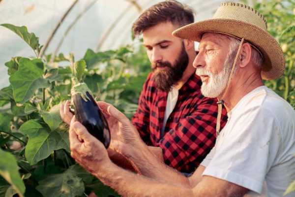 О чём нужно помнить неопытным дачникам