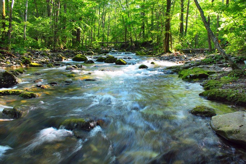 как правильно писать в течении