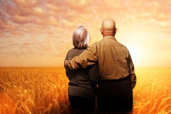 Wheat field over cloudy sky