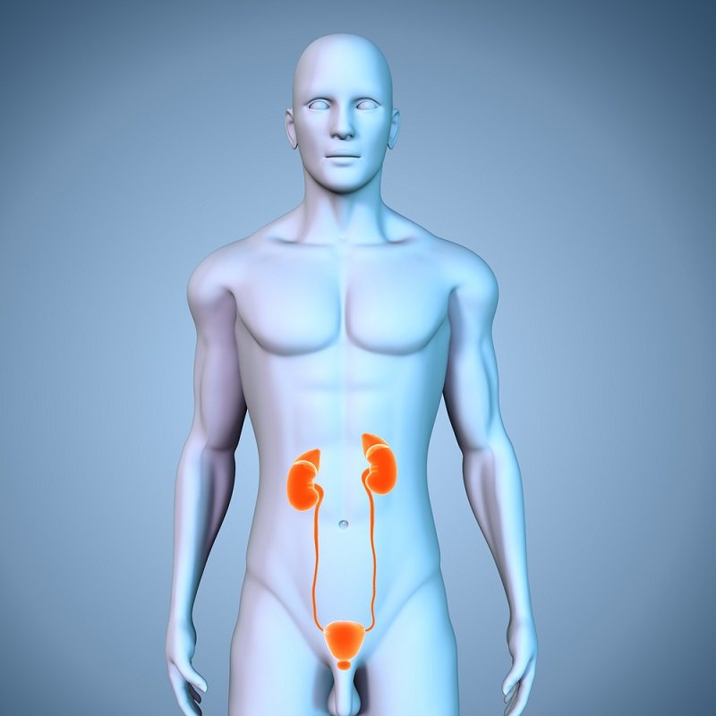 профилактика заболеваний