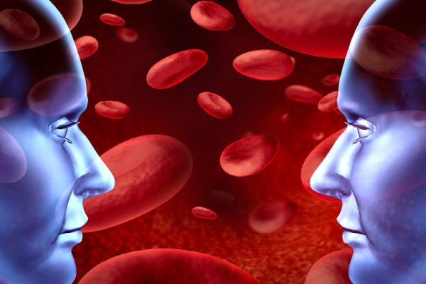 Blood donations with different blood group and types representing red blood cells flowing through veins and human circulatory system for donors and recipients of transfusions for emergency surgery at a hospital clinic.